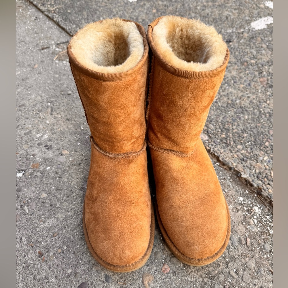 UGG Classic Boots in Chestnut - Picture 5 of 9